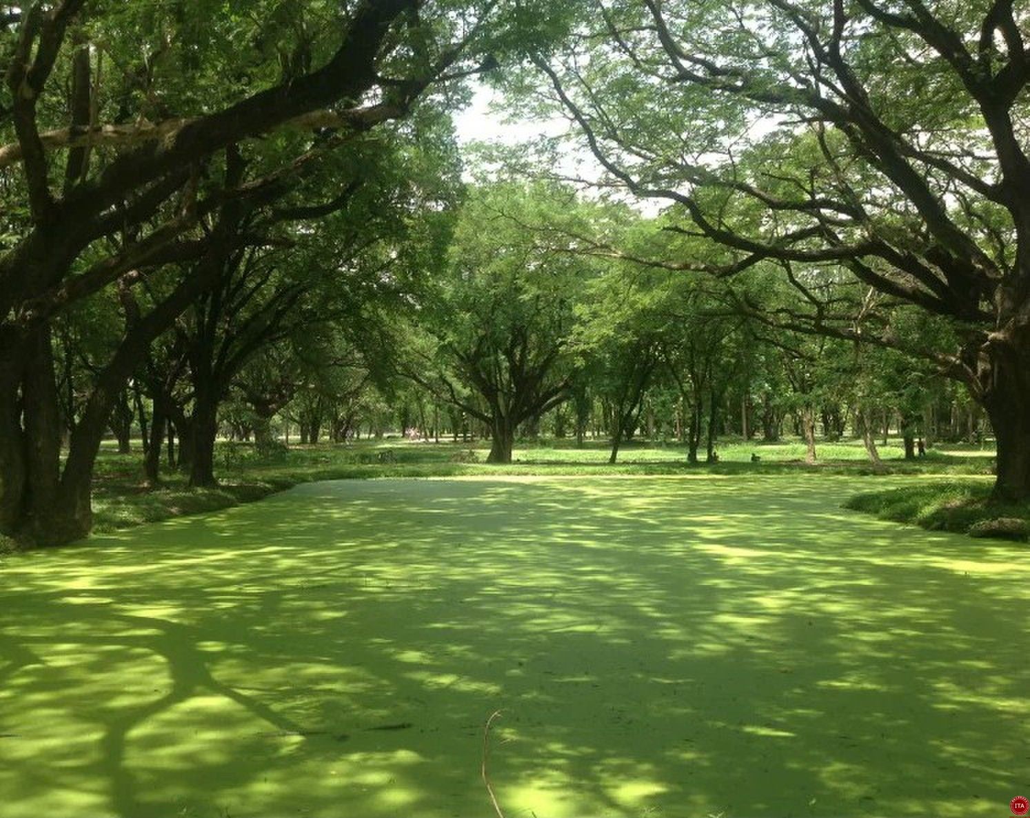 ITA学员在泰国任教拍下的风景