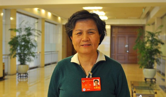 许琳:美国的刁难提升孔子学院全球认同度