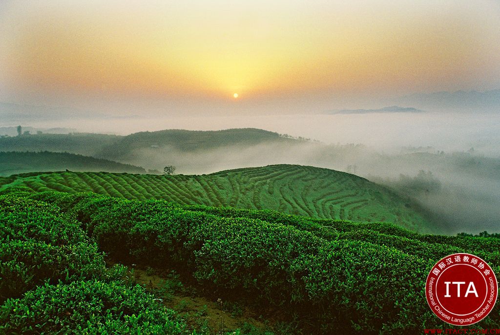 杭州建立全国唯一“汉语国际推广茶文化传播基地”