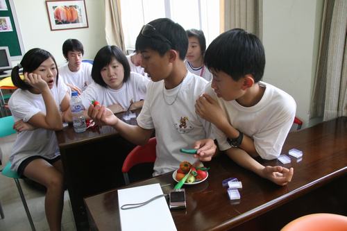台湾地区青少年汉语教育夏令营在福建南安开营