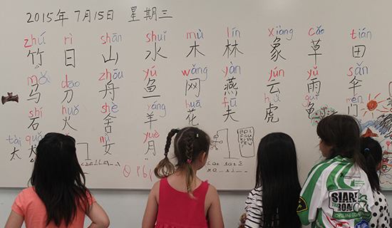 加拿大布鲁克大学举办2015年“汉语夏令营”