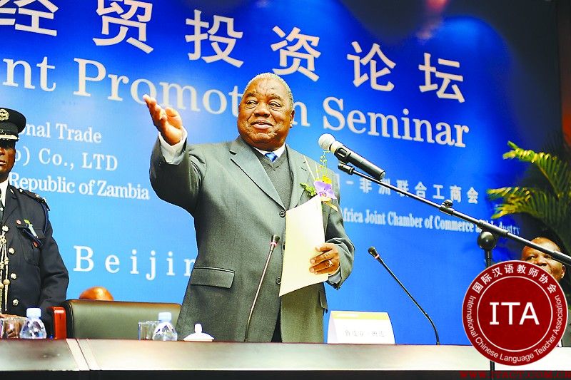 中非经贸发展助推汉语热 南非普及汉语引各方争论