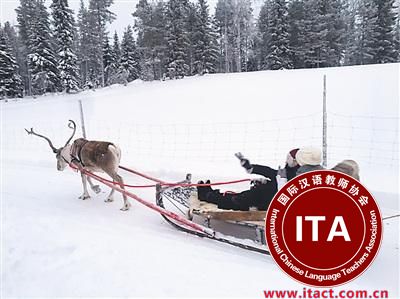 中国侨网倩钰在芬兰的圣诞老人村和朋友坐着驯鹿车，感受芬兰的圣诞气氛。