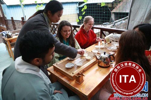 外国留学生采茶品茶感受中国传统茶文化.jpg